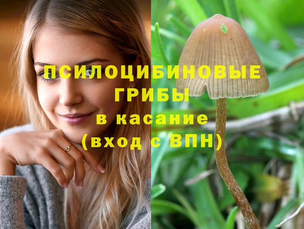 стафф Остров