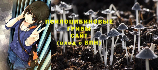 мяу мяу мука Осташков