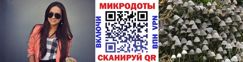 закладки это какой сайт Псилоцибиновые грибы GOLDEN TEACHER Югорск мега зеркало
