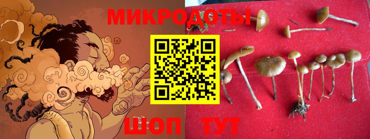 Югорск  Галлюциногенные грибы Psilocybine cubensis  Вход с VPN  Галлюциногенные грибы Psilocybine cubensis 