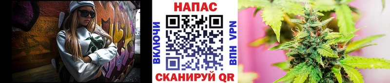Шишки марихуана сатива  продажа наркотиков  Югорск 